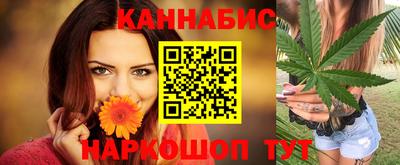 прущие грибы Будённовск