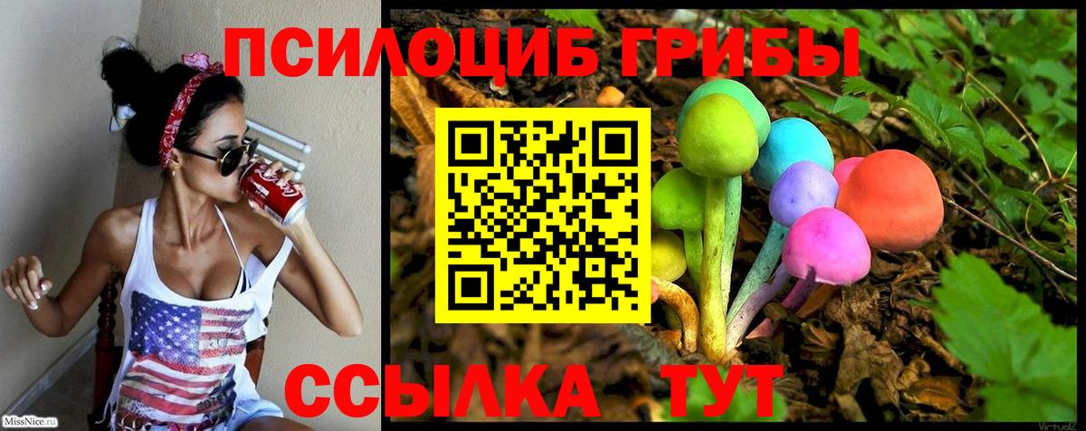 Псилоцибиновые грибы ЛСД Барабинск
