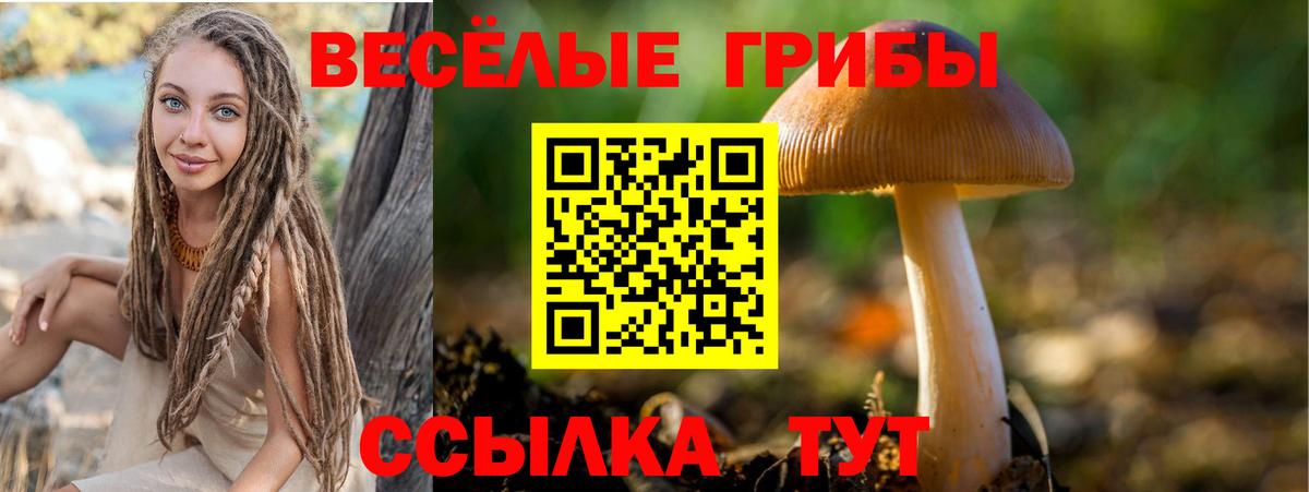 Галлюциногенные грибы GOLDEN TEACHER  Галлюциногенные грибы Magic Shrooms  Барабинск  Вход с VPN 